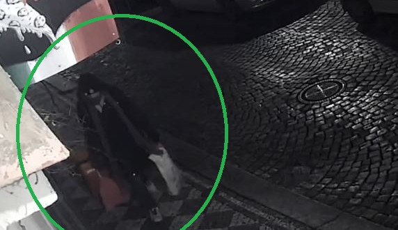 FOTO, VIDEO: „To je bomba, vojáku!“ Muž nechal před Hradem kufr s domnělou výbušninou a rychle odešel