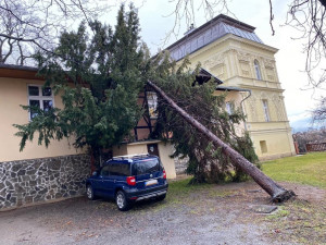 Do Česka míří silný vítr. Meteorologové varují před pády stromů a poškozením budov