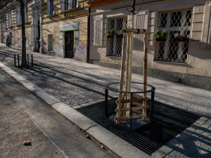 (C)2020 MARTIN KABAT