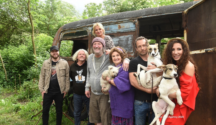 V době koronaviru a zavřených kin v Česku stále vznikají nové filmy. Snímek o psu Gumpovi má jít do kin 15. dubna