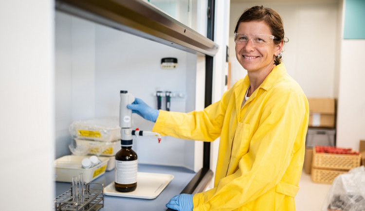 Středočeský Novavax CZ hledá posily k boji proti největším zdravotním hrozbám světa