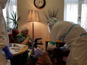 Psi označí pacienta s covidem do deseti vteřin. Ve výcviku jim pomáhali pražští senioři