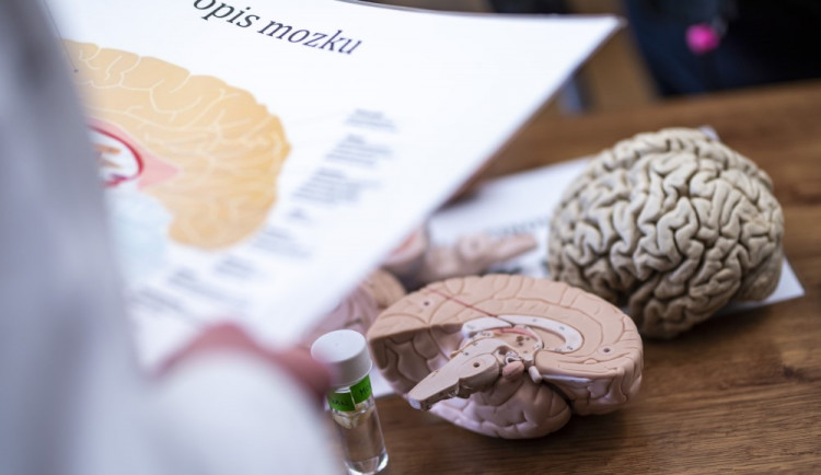 Festival Týden mozku se uskuteční on-line. Nabídne přednášky i trénink paměti