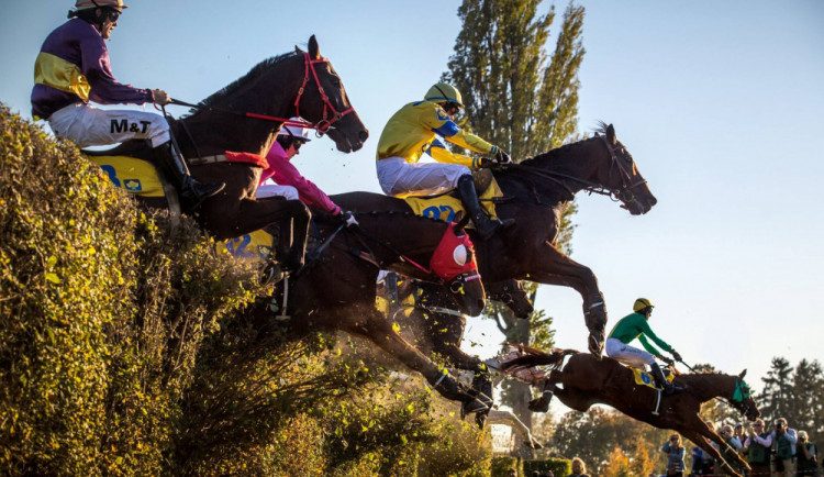 Legendární Taxisův příkop bude pro koně i jezdce bezpečnější, projde výraznými úpravami