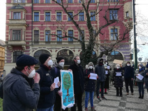 Lidé v Praze 1 demonstrovali proti kácení javoru. To je nyní pozastaveno