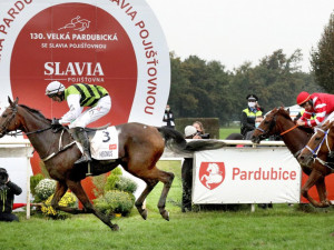 Slavia pojišťovna podpoří Velkou pardubickou jako titulární partner i v dalších letech