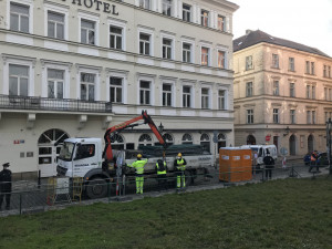 Protest proti kácení stromu dnes vyvrcholil napadením tajemníka Prahy 1