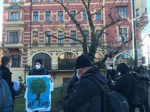 Protest proti kácení stromu dnes vyvrcholil napadením tajemníka Prahy 1