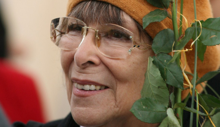 163859932_480787336393126_6207963011695559697_n