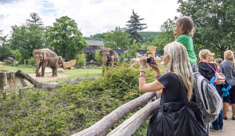 Pražská zoo v pondělí otevře své brány návštěvníkům. Zpřístupní venkovní prostory