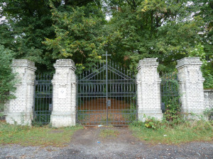 Hřbitov bláznů v Bohnicích se stane majetkem metropole. Spravovat ho bude Praha 8