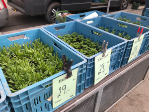 Trhy na Jiřáku jsou zpět. Tlačenice se nekonala, zákazníci dodržují pravidla
