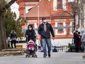 Do zoo přišlo od pondělí přes 8000 návštěvníků, do botanické zahrady zavítalo 2000 lidí