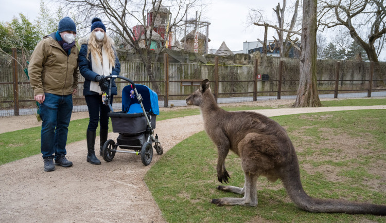 Do zoo přišlo od pondělí přes 8000 návštěvníků, do botanické zahrady zavítalo 2000 lidí