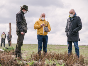 U Lítožnice vzniká nový les. Vysazeno tady bude 53 tisíc nových stromů