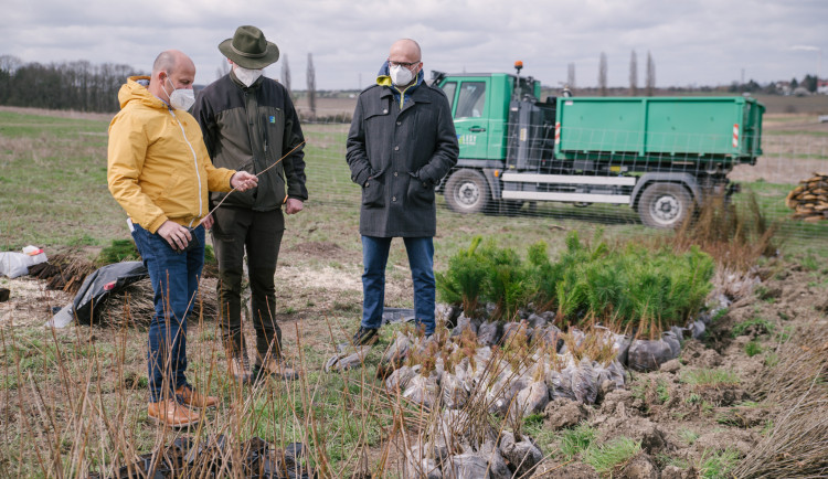 U Lítožnice vzniká nový les. Vysazeno tady bude 53 tisíc nových stromů