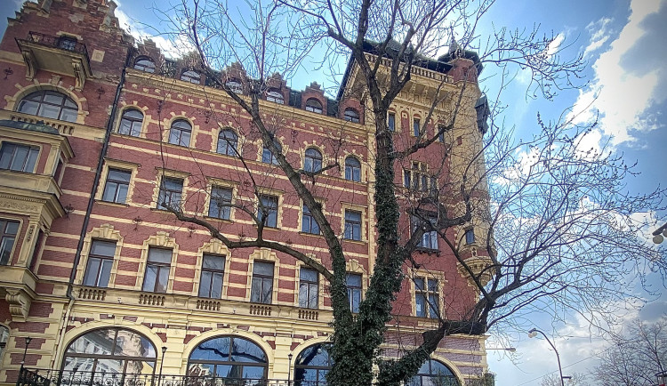 176300002_3825210020931960_1322925182584166641_n