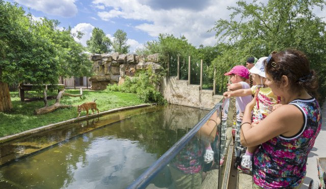 Pražská zoo měla v sobotu plno. Před vchody se tvořily dlouhé fronty