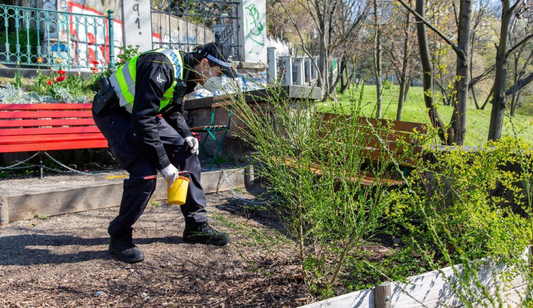 Pražští strážníci posbírali po celém městě přes 300 jehel a stříkaček