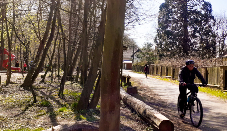 Krčský les je ideální volbou na procházku, výlet s dětmi nebo na kole