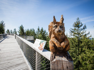 Lesní svět plný zážitků nejen pro děti s názvem Království lesa dnes otevírá brány