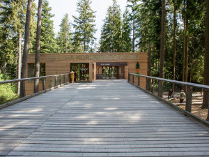 Lesní svět plný zážitků nejen pro děti s názvem Království lesa dnes otevírá brány