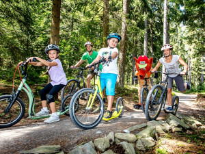 Lesní svět plný zážitků nejen pro děti s názvem Království lesa dnes otevírá brány
