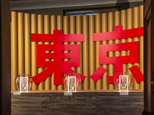 Nová výstava v Národním muzeu ukazuje olympijské Tokio včetně úspěchů Čáslavské