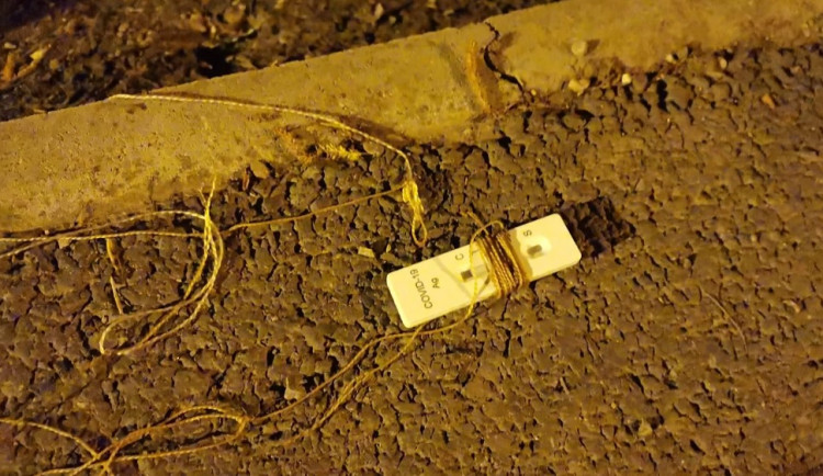 Koronavirus nechytil, tak chtěl na testovací tyčinku chytit alespoň ryby