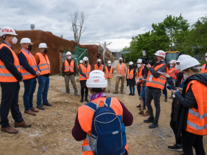 Gorily v pražské zoo dostanou nový pavilon. Bude stát 300 milionů a hotov bude na podzim 2022