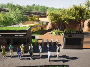 Gorily v pražské zoo dostanou nový pavilon. Bude stát 300 milionů a hotov bude na podzim 2022