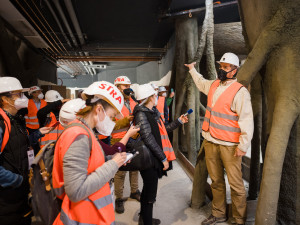 Gorily v pražské zoo dostanou nový pavilon. Bude stát 300 milionů a hotov bude na podzim 2022