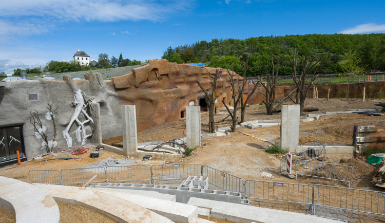 Gorily v pražské zoo dostanou nový pavilon. Bude stát 300 milionů a hotov bude na podzim 2022