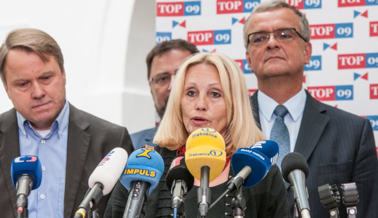 Feriho ve Sněmovně nahradí dokumentaristka Olga Sommerová