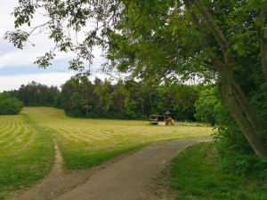 Kam o víkendu? Hostivařská přehrada láká na nudapláž, rybaření i kulturu