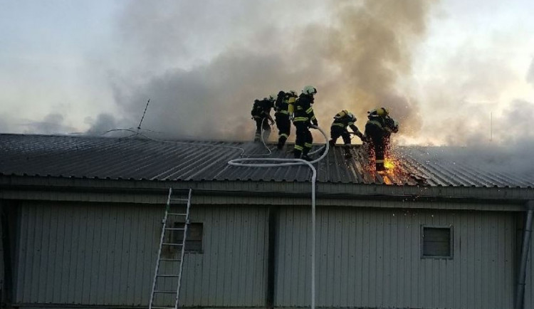 U Holic hořela drůbežárna plná kuřat, pomáhali i hasiči z Rychnova