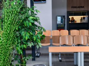 V Praze bude nový registr vozidel. Řidiči ho najdou ve Vysočanech