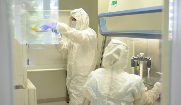 size4-16234814627793-139-size4-16161460158819-103-tento-tyden-pribylo-nejmene-nakazenych-za-posledni-ctyri-tydny