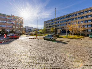 Území mezi Letnou a Stromovkou bude příjemnější. O jeho podobě rozhodne veřejnost