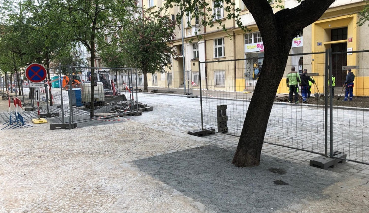 Budou stát stromy v Praze ve vyzděných betonových kobkách a zasypány mlatem?