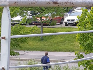 Muž se měl schovávat v křoví, sledovat dvě dívky a onanovat. Ty si ho vyfotily