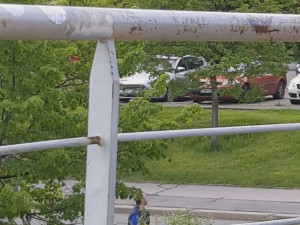 Muž se měl schovávat v křoví, sledovat dvě dívky a onanovat. Ty si ho vyfotily