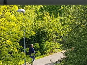 Muž se měl schovávat v křoví, sledovat dvě dívky a onanovat. Ty si ho vyfotily