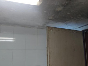 Další nelegální pěstírna v Praze. Tentokrát nešlo o konopí, ale o mungo klíčky