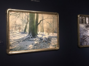 V díle Ivana Exnera se prolíná inspirace českými klasiky i světovou kulturou. Jeho obrazy je možné vidět v Královském letohrádku