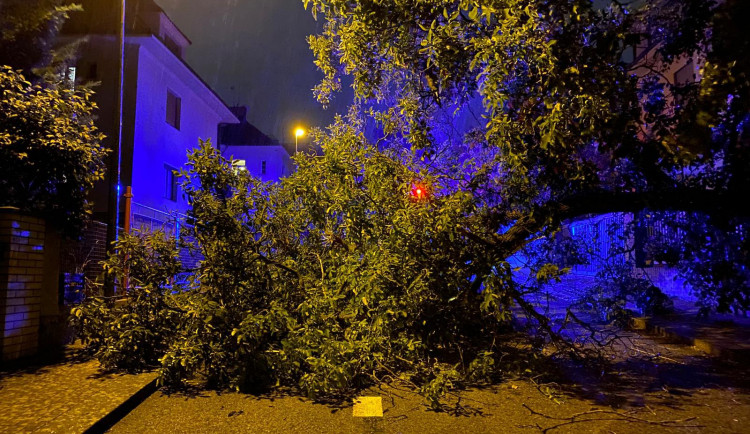 Do Prahy dorazila silná bouřka. Déšť a mohutný vítr zaměstnali hasiče