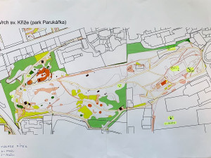 V parcích v Praze 3 vznikla pítka pro ptáky. Lidé si jej mohou vyrobit i doma