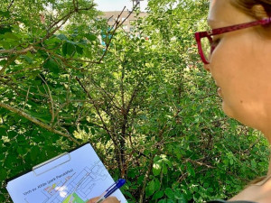 V parcích v Praze 3 vznikla pítka pro ptáky. Lidé si jej mohou vyrobit i doma