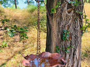 V parcích v Praze 3 vznikla pítka pro ptáky. Lidé si jej mohou vyrobit i doma