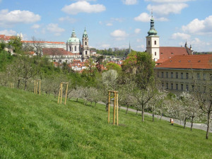 Praha chystá zrušení zákazu vstupu na trávníky, koupání ve vodních nádržích nebo sáňkování
